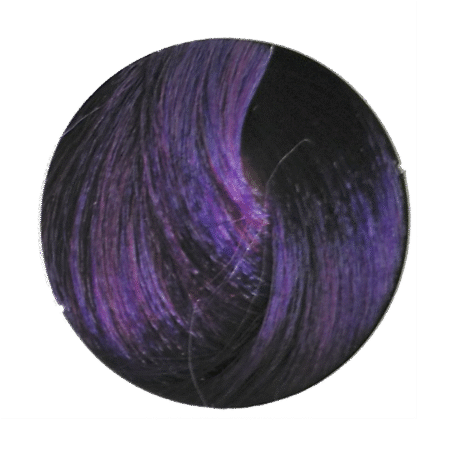rEvolution Rich Purple