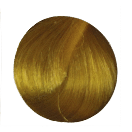 rEvolution Yellow