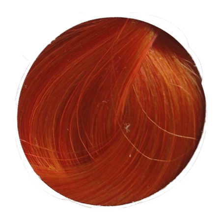 rEvolution Neon Dynamic Orange