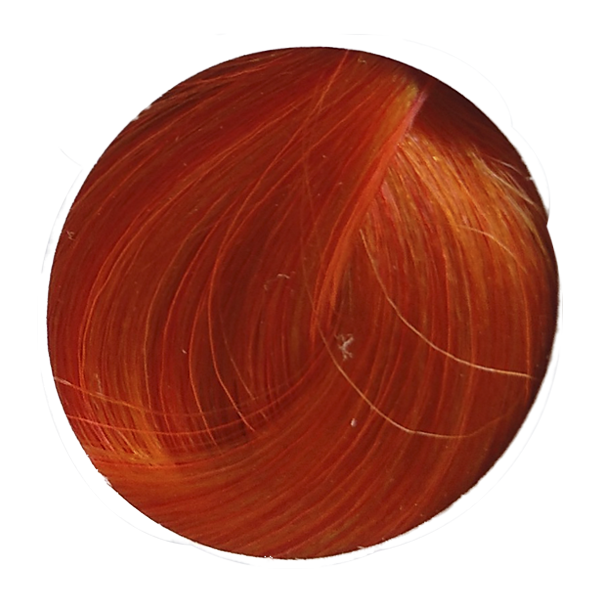 rEvolution Neon Dynamic Orange