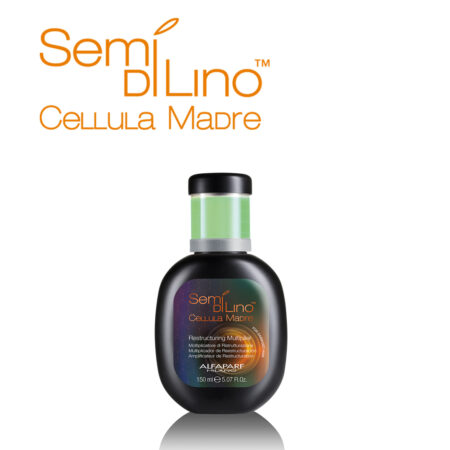 Semi Di Lino Cellula Madre Multiplicador de Reestructuración