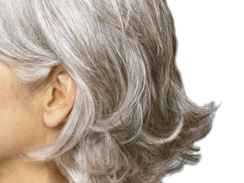 La coloración de las canas